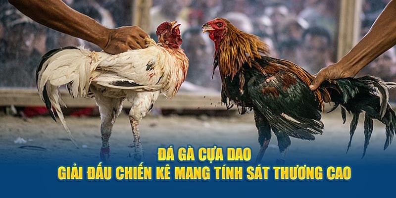 đá gà cựa dao 88clb