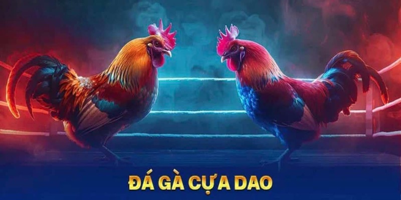 đá gà cựa dao tại nhà cái 88clb